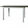 2215 Extending table with metal base, durmast or ash wood melamine top