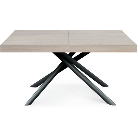 2326  Black or white metal table base, pearl elm wood extending top
