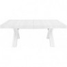 2268 Extending table,  durmast wood, worn white, aged wood melaminie finished