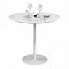 2299 Metal table base and white lacquered top
